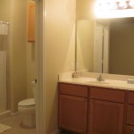 San Antonio Eckhert Place Condo Vacation Rental