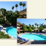 Palm Springs Tennis Club Resort Tropical Pool Area Palm Springs Tennis Club Resort Tropical Pool Area
