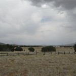 sel6 150x150 Seligman Rental Sale Furnished Home Arizona
